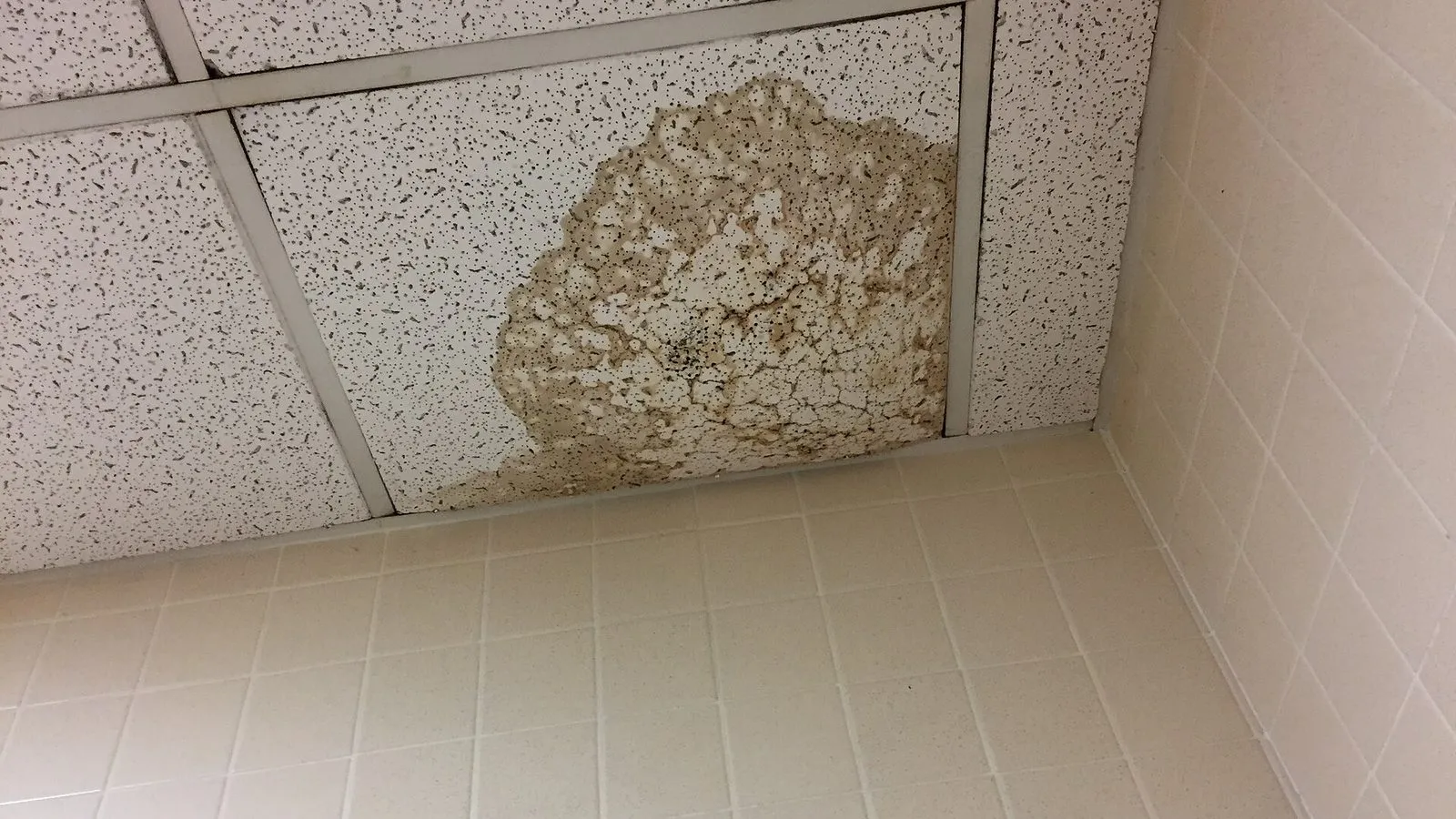 Water-damaged ceiling needing repair
